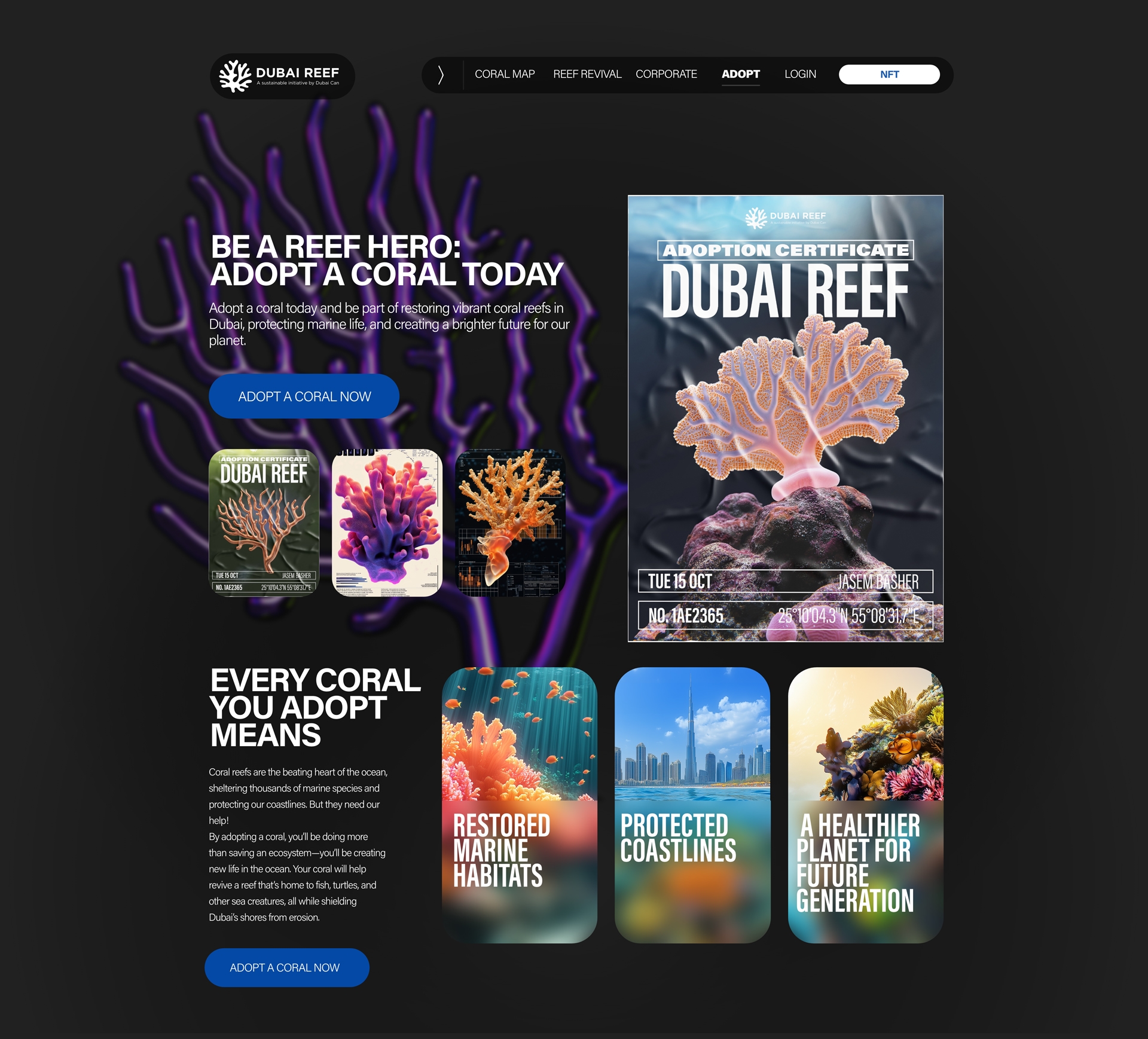NFT Collection Dashboard