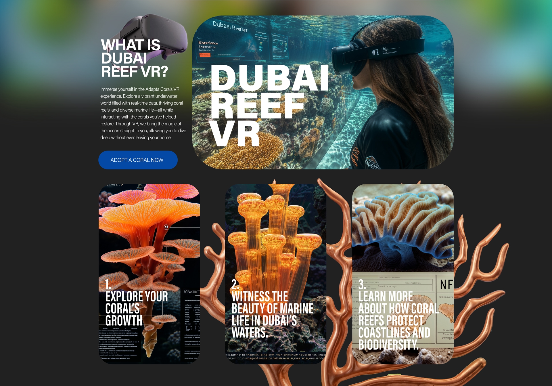 VR Dive Experience at Dubai Mall