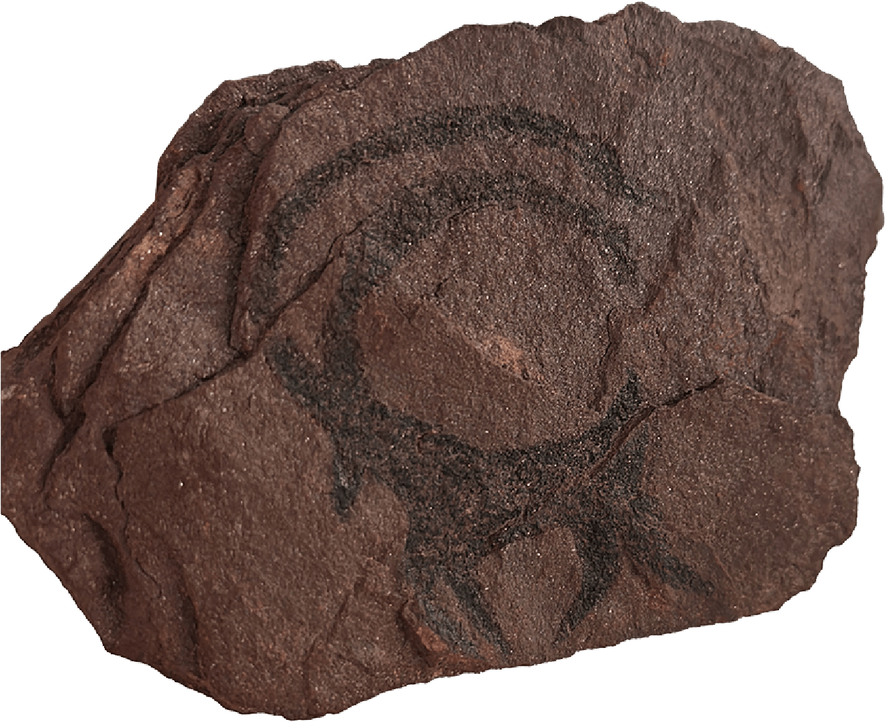 Trojena heritage giveaway rocks with printed petroglyphs